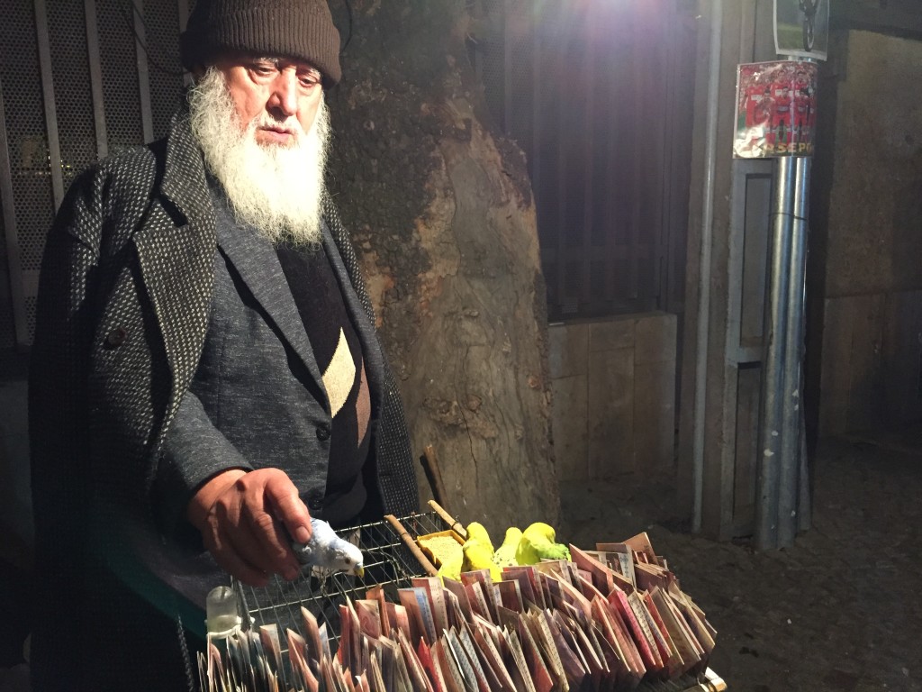 Darband Tehran Fortune Teller with Bird Picking Fortune
